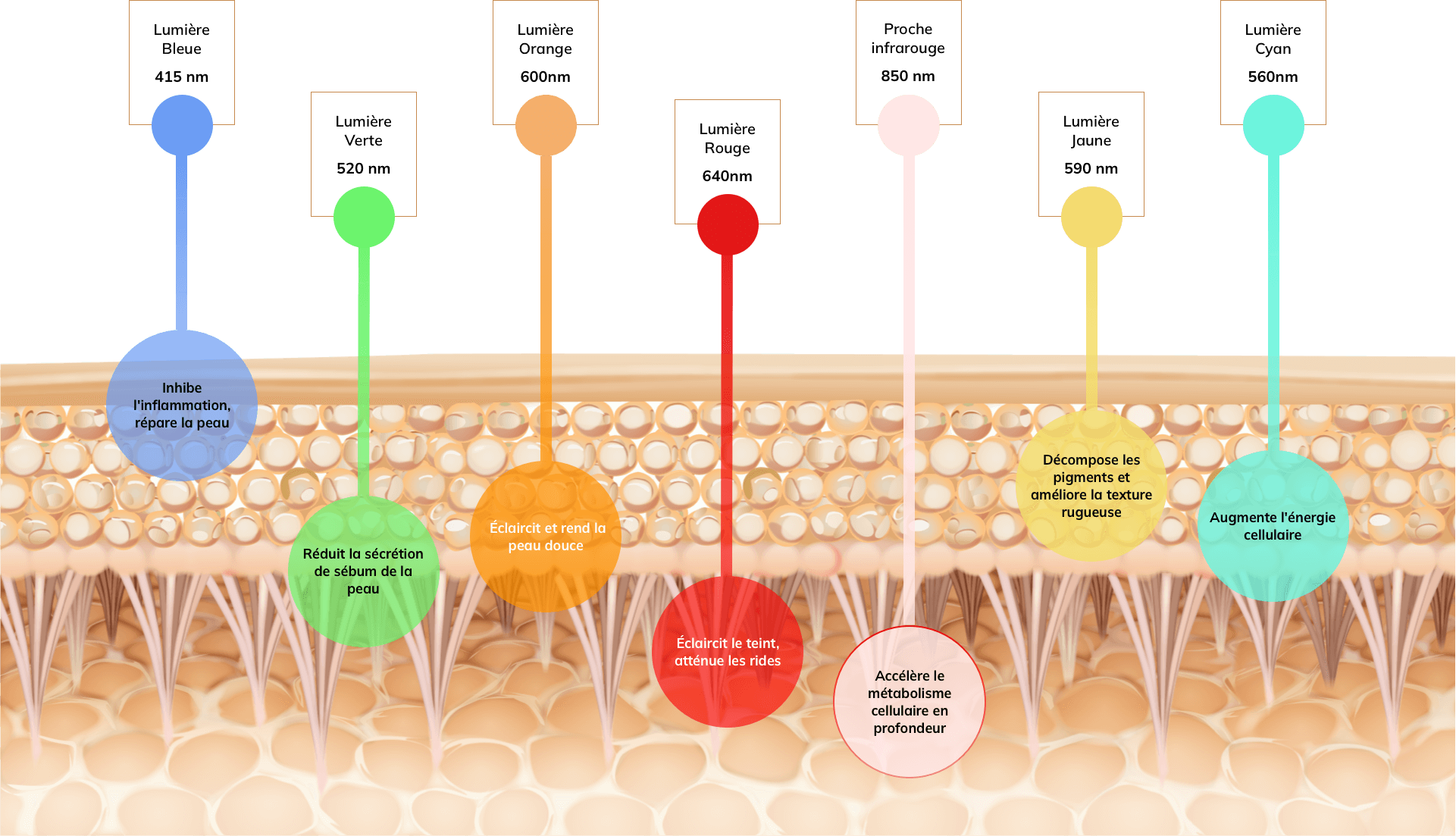 7couleurs luminotherapie Eclarat